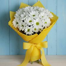 Букет Застенчивые лепестки в Алхан-Кале Букет цветов из: Хризантемы в Алхан-Кале