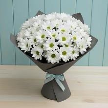 Букет цветов из:  Хризантемы #REPLACE_PRED# Алхан-Кале